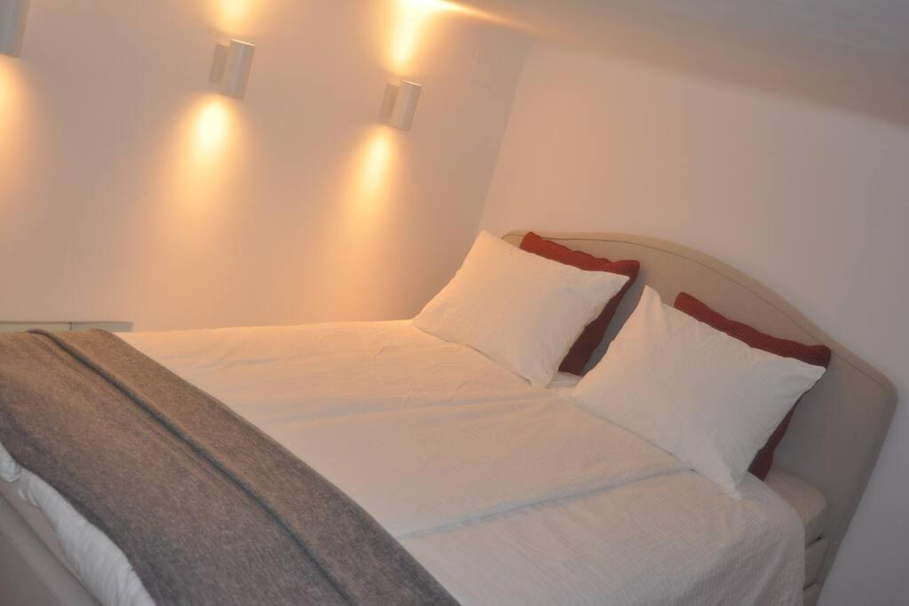 Jane'S Place, Experience The Atmosphere Of A Historic Villa & Free Parking Ljubljana Eksteriør billede