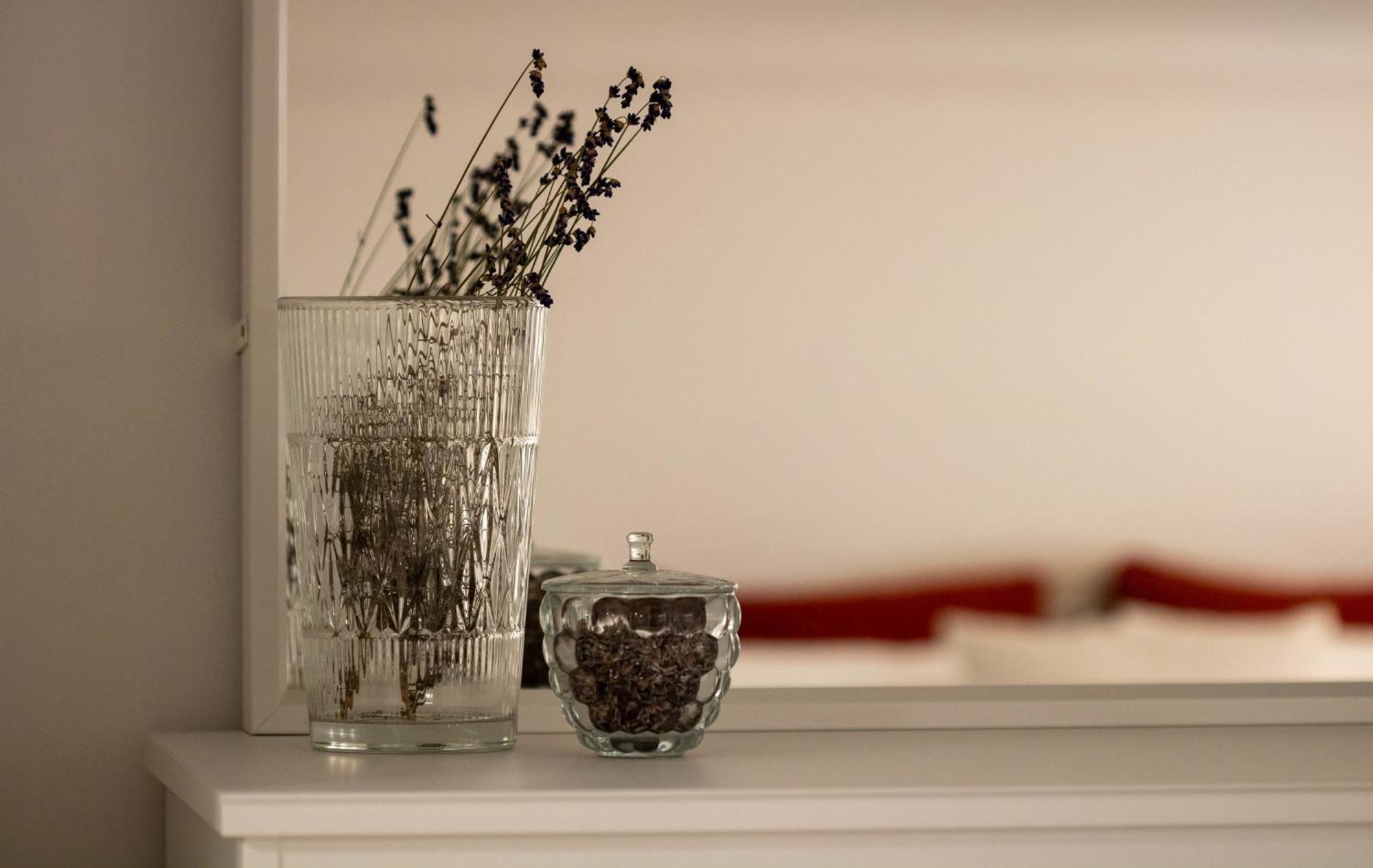 Jane'S Place, Experience The Atmosphere Of A Historic Villa & Free Parking Ljubljana Eksteriør billede